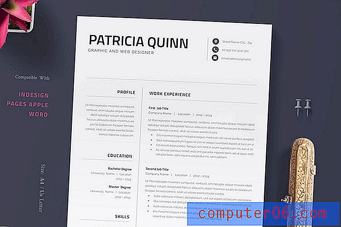 20+ Best Pages Resume & CV Templates