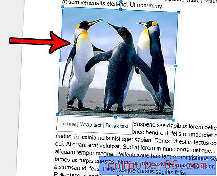 Cómo ajustar la transparencia en una imagen en Google Docs