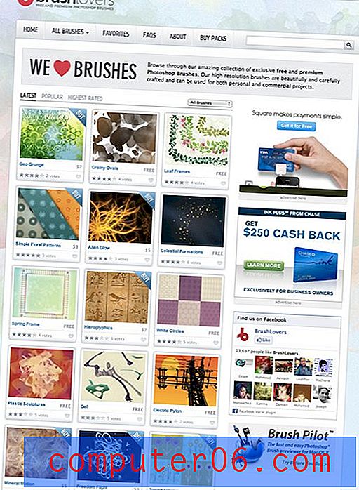 Web Design Critique # 51: Brush Lovers