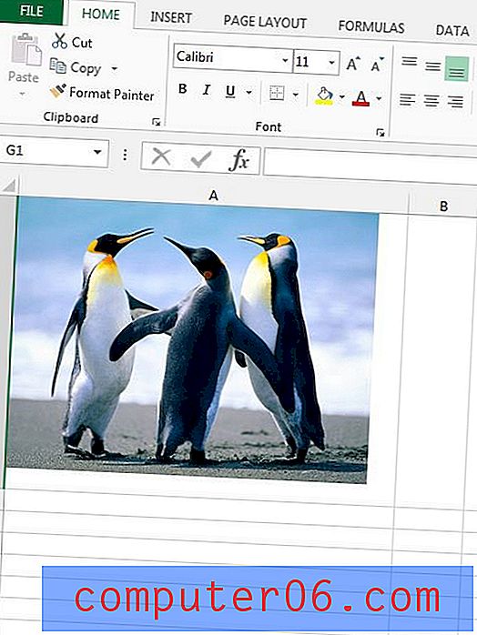 Excel 2013에서 그림이 인쇄되지 않도록하는 방법